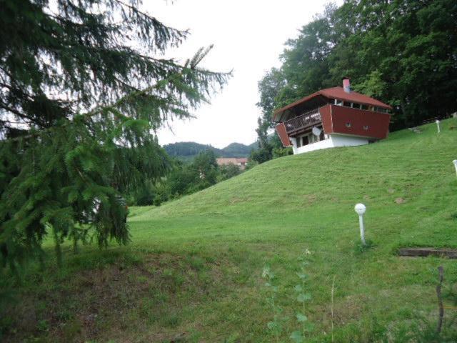 Chalet Contemporain Plein Nature Altenbach Екстериор снимка